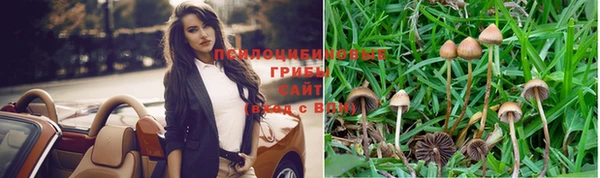 дмт Аркадак